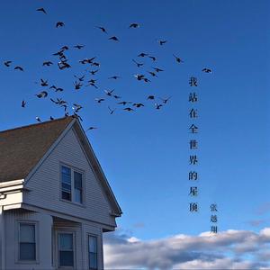 张艾嘉-我站在全世界的屋顶（张越翔 remix）