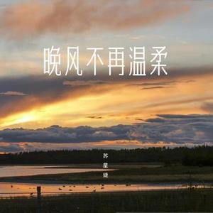 晚风不再温柔 (DJAh版)