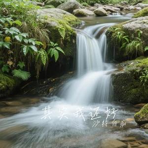 其实我还好 (Cover 俞灏明)