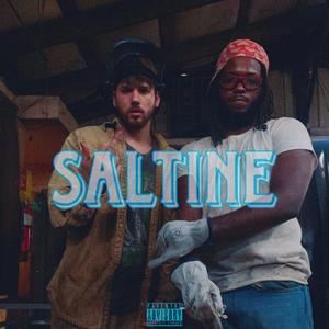 Saltine (feat. zayy4k)