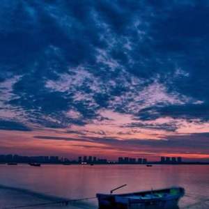 新不了情