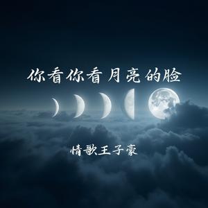 你看你看月亮的脸(走心男版)