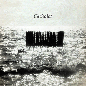 Cachalot