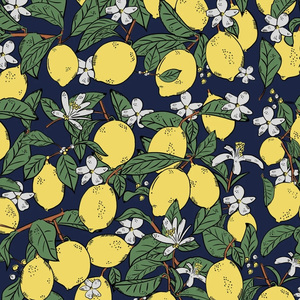 Lemonade Heroine (prod. by YUSHINES)