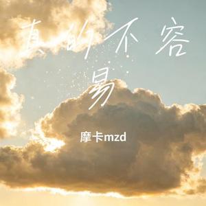 真的不容易 (摩卡mzd Remix)