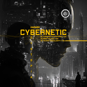 Cybernetic Dytopia