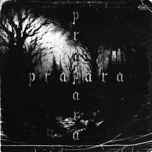 PRAPARA