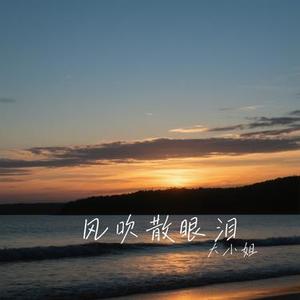 风吹散眼泪 (Cover 洋澜一)