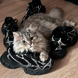 уже потерял