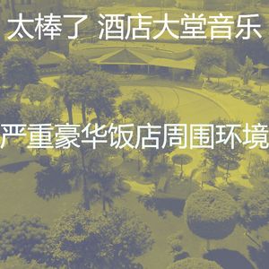 抚慰的酒店大堂回忆