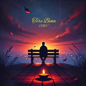 Tere Bina