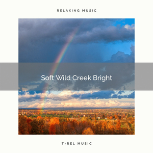 Soft Wild Creek Bright
