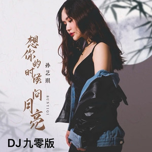 想你的时候问月亮 (DJ九零版)