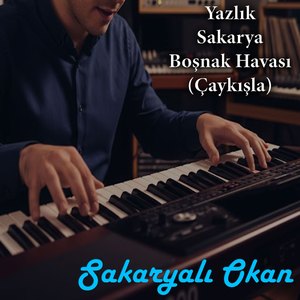Yazlık / Sakarya Boşnak Havası (Çaykışla)