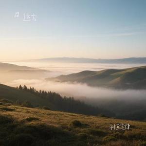 雨夜念