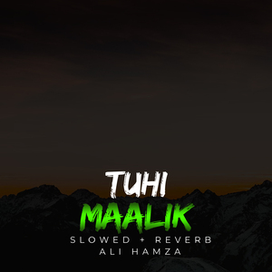 Tuhi Maalik Lofi