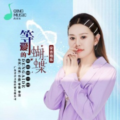 等爱的蝴蝶 (DJ默涵版)