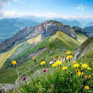 薄暮知秋 (放松古琴曲)