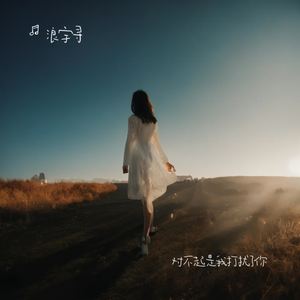 对不起是我打扰了你