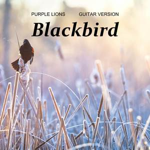 Blackbird (Guitar Version)