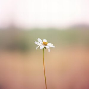 어쩌다 보니