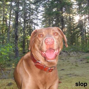 slop (intro)