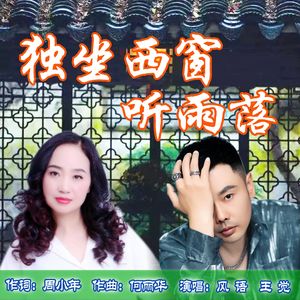 独坐西窗听雨落