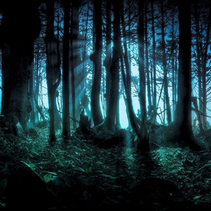 of course i was wrong