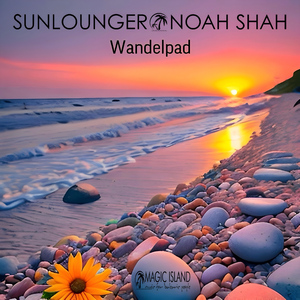 Wandelpad (Ambedoverse Guitar Suite)