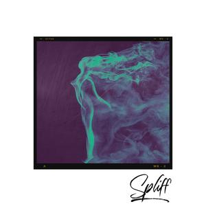 Spliff (feat. RapMoses & Smokky B)