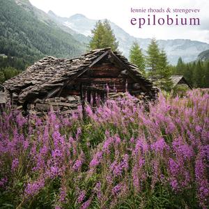 Epilobium