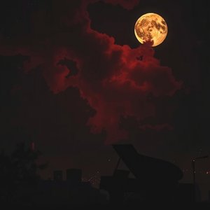 Long Walks Dark Nights