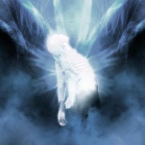 Where Does The Light Get In?