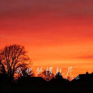 我把热情耗尽 (Cover 王佳音)