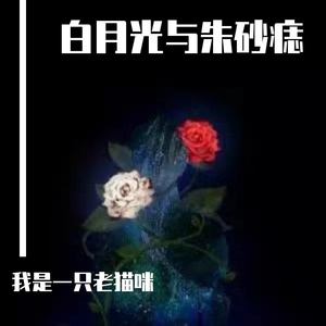 白月光与朱砂痣（温柔女声）（翻自大籽）