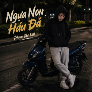 NGỰA NON HÁU ĐÁ