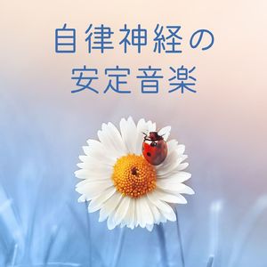 自律神経のバランス