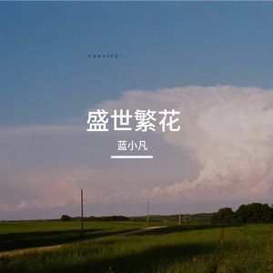盛世繁花
