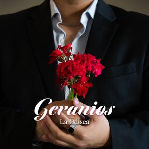 Geranios