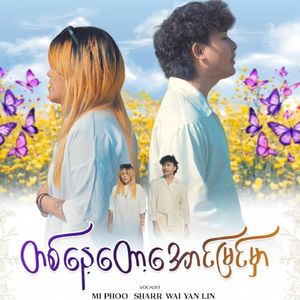 Ta Nay Toz Aung Myin Mar