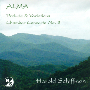 Chamber Concerto No. 2:I. Largo ed elegiaco