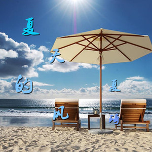 夏天的风  夏琦