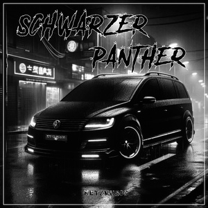 Schwarzer Panther