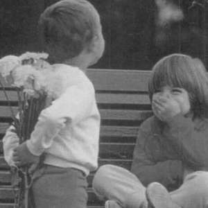 离去在黄昏之前