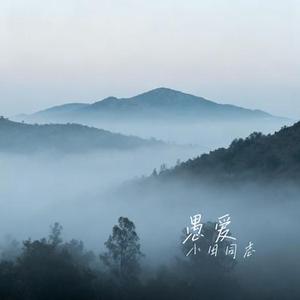 愚爱 (Cover 欢子)