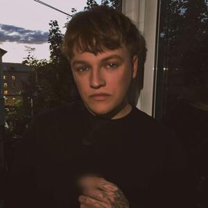 низы общества intro