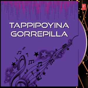Tappipoyina Gorrepilla