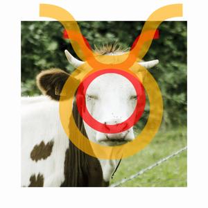 Taurus I : Enfant de la nature