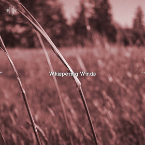 Loopable Rain Sounds