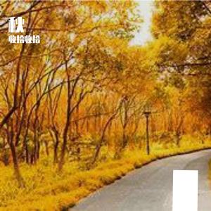 公平-整曲 伴奏